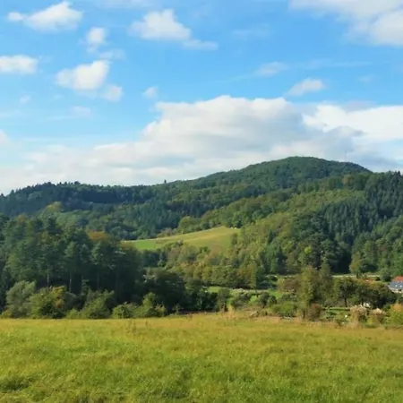 Schicke U. Moderne Fewo Zum Odenwald